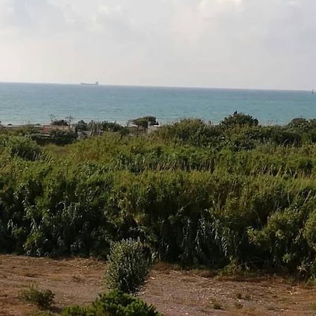 Apartamento Playa Canet Valencia Exteriör bild