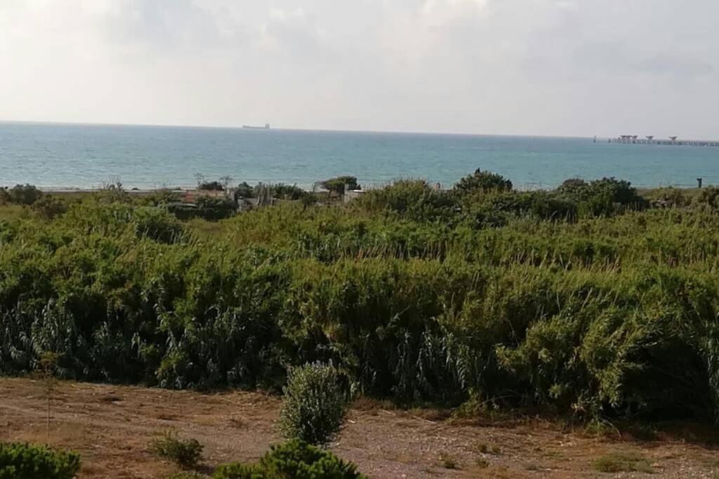 Apartamento Playa Canet Valencia Exteriör bild